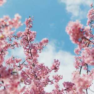 小🐤🐤戳进🍑里面
